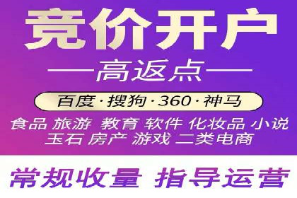 百度竞价开户的五大成功案例：如何进行精准投放？